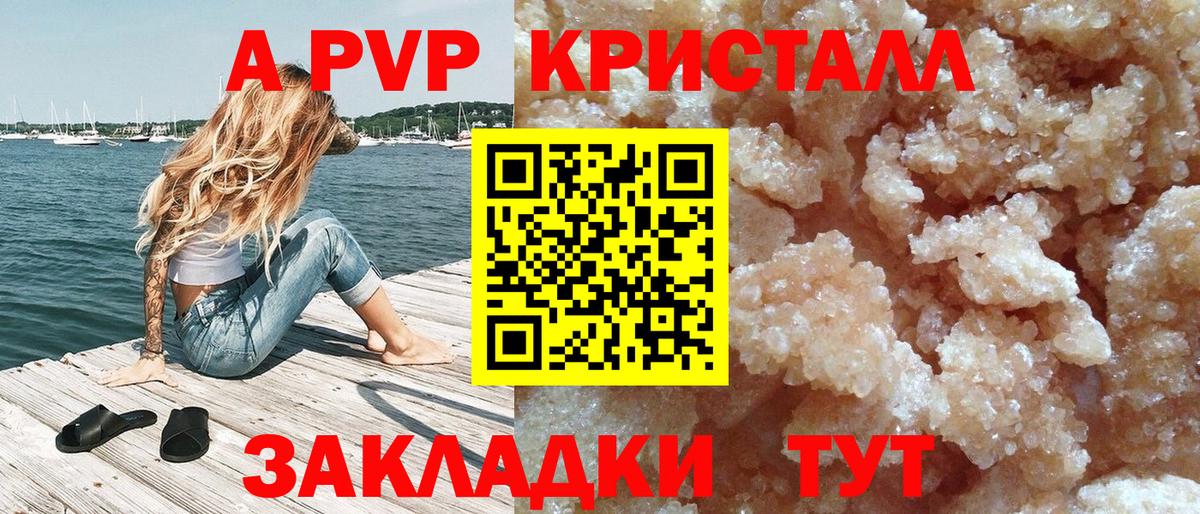 A PVP СК КРИС Томск