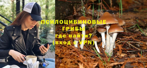 гидропоника Алексеевка