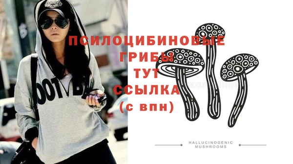 не бодяженный Алзамай