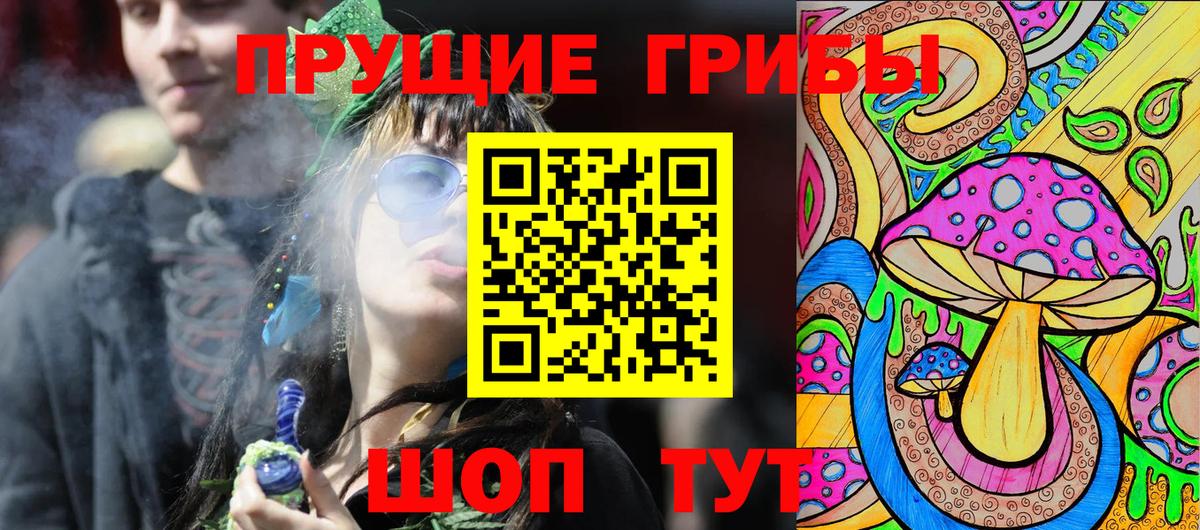 где купить   Вход с VPN  Томск  Псилоцибиновые грибы мицелий  Псилоцибиновые грибы ЛСД 