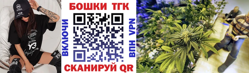 Бошки Шишки MAZAR  Томск 